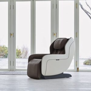 Circ+ (gray) - Zero Gravity Sl Track Heated Massage Chair - Pallet liquidation for sale